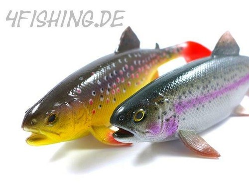 Jackson the trout is - jackson, cm,