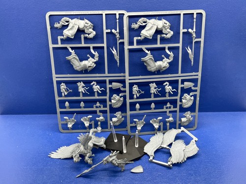 Pegasus ritter - pegasus, /