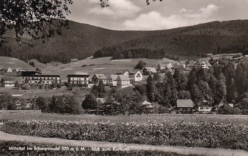 Mitteltal schwarzwald blick - schwarzwald,