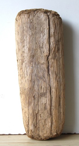 Treibholz schwemmholz - treibholz,