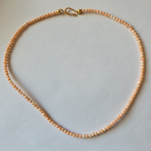 Lachsfarbene korallen - lachsfarbene,