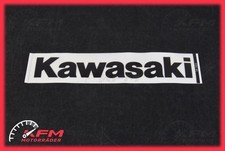 Kawasaki ninja zx636eff - kawasaki,