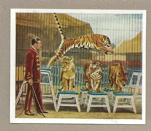 104 549 sammelbild jahr - 104/549,