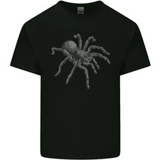 A Tarantula Spinne Herren
