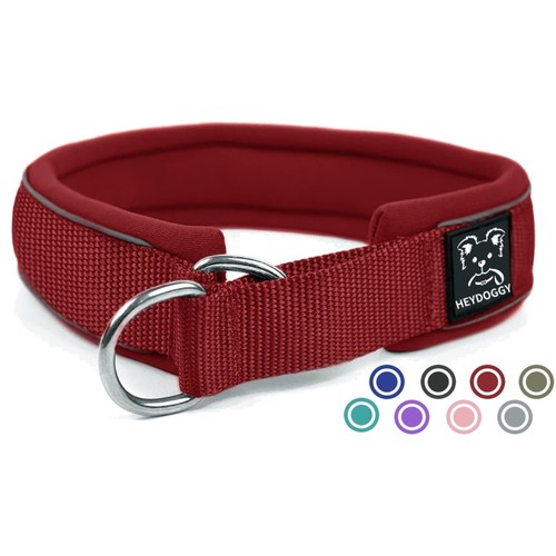 Hundehalsband neopren - hundehalsband,