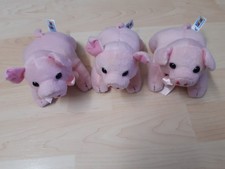 3 lustige Schweinchen