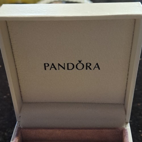 Pandora charm armband - pandora, charm-armband