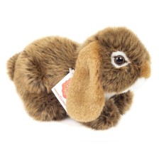 Teddy hermann widderkaninchen - teddy,