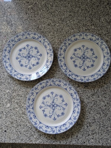 Kaiser indigo strohblume - kaiser,