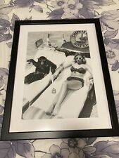 Vintage Affe Am Sonnen Bild Inklusive Schwarzen Rahmen