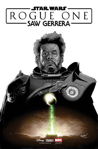 Star wars rogue - rogue,