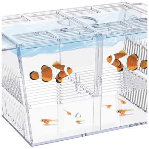 Fischbrutkasten zuchtbecken - fischbrutkasten,