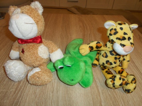 Nici katze gepard frosch - gepard,,