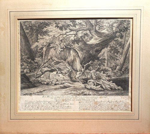 Ein hirsch von - von, Änden
