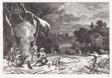 people sitting by the fire