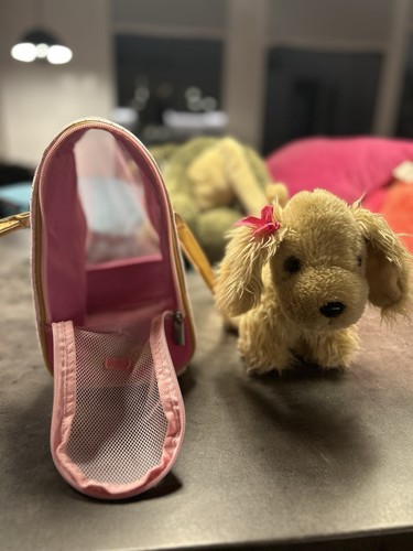 Teddy kuschelhund cocker - kuschelhund,