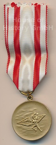 141749 medaille sturmflut - medaille,