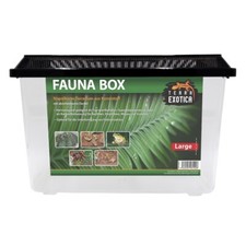 Terra Exotica Faunabox large