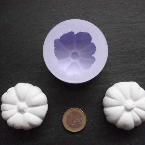 Silikonform mould kürbis - silikonform,