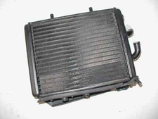 Wasserkühler Aprilia Leonardo