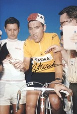 Eddy Merckx  original