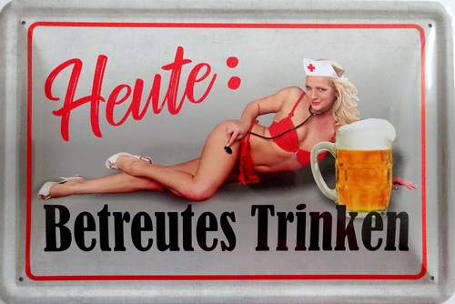 Blechschild schild 20x30cm - blechschild,