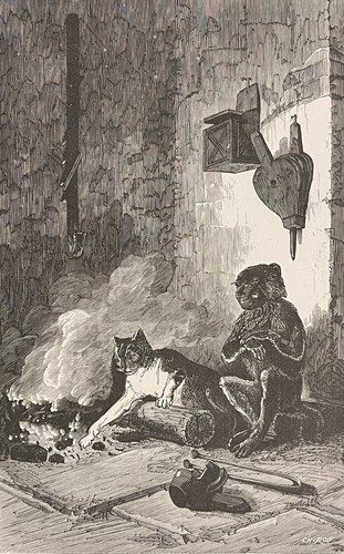 Der affe und die katze - affe, eugene