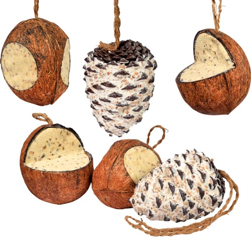 Gefüllte kokosnüsse und - kokosnüsse,