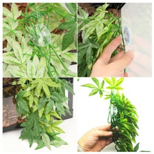 Kunststoffpflanzen Terrarium