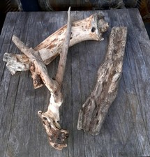 3 XL Treibholz Schwemmholz