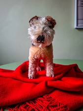 STEIFF Terrier, 22 cm Länge
