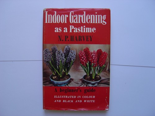 Indoor gardening pastime - indoor,
