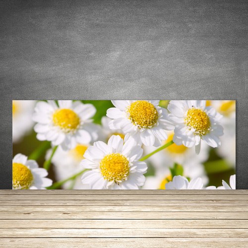 Küchenrückwand aus glas esg - küchenrückwand,