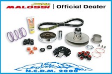MALOSSI TRANSMISSION GROUP