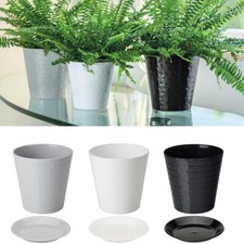 Blumentopf Pflanzentopf