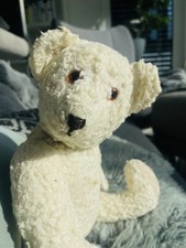 Alter Teddybär Bär Old Bear