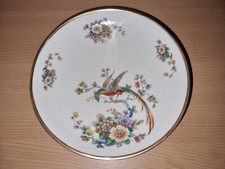  Thomas Ivory Paradies Vogel