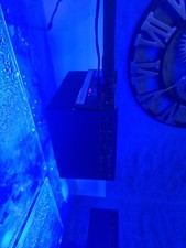 Salzwasser aqaurium komplett - aqaurium,