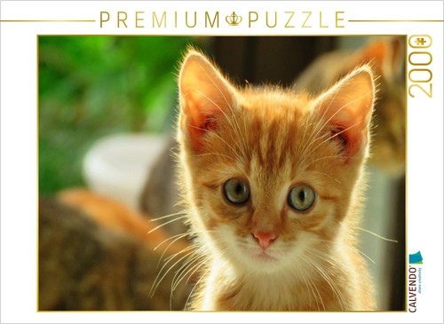 Calvendo puzzle roter kater - calvendo,