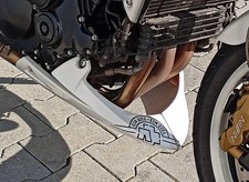Bugspoiler für Triumph Speed