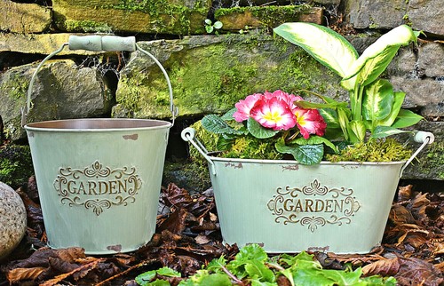 Jardiniere oval oder eimer - jardiniere,