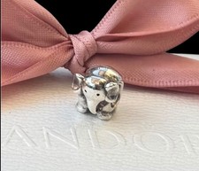 Original Pandora Charm