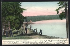 Buntenbock /Harz, Bärenbrucher Teich mit Uferweg, Ansichtskarte 1906 