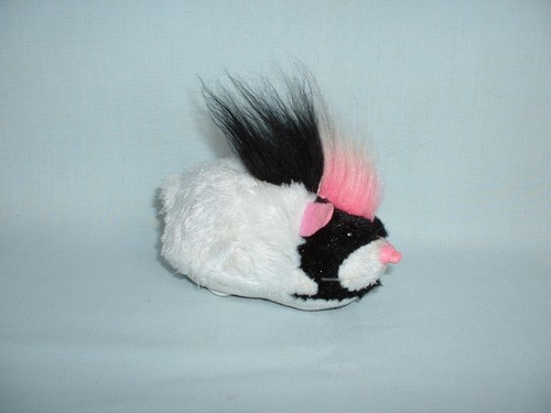 Zhu pets - zhu, hamster