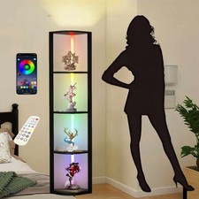 Große acryl vitrine - acryl,