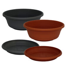 Pflanzschale / Untersetzer