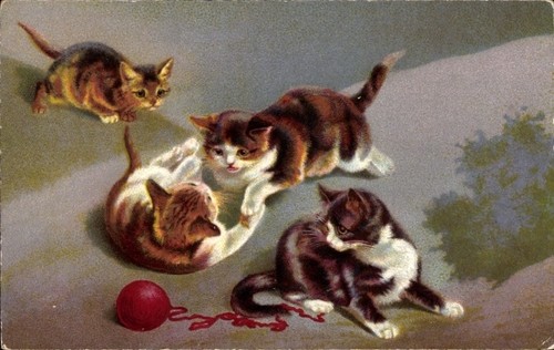 Vier spielende katzenbabys - ak,