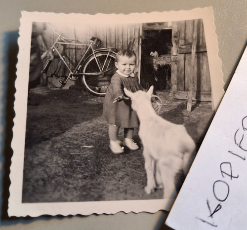Altes foto vintage - altes,