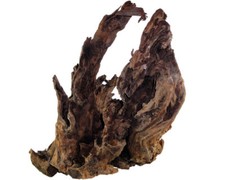 Mangrovenwurzel 30-40 cm