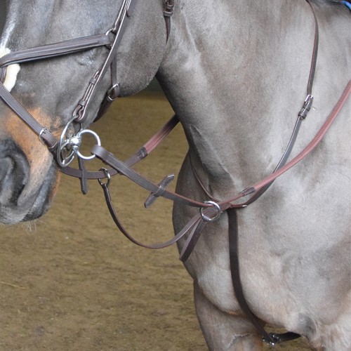 Whitaker ready ride - whitaker,